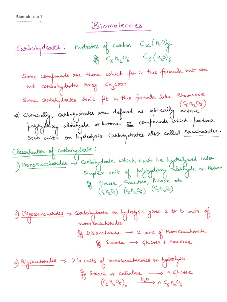 Biomolecule 1.pdf PDF