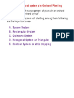 Planting System in Orchards