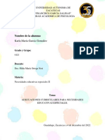 Adecuaciones Curriculares NEE PDF