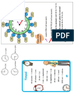 Timpul. Fișe de Lipit În Caiet
