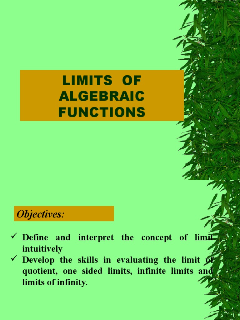 Limits of Algebraic Functions | PDF | Limit (Mathematics) | Function ...