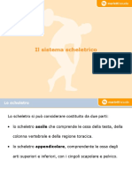 2 - Il Sistema scheletrico.pdf
