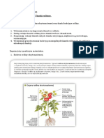 Biologia Klasa 5 Tkanki Roślinne PDF