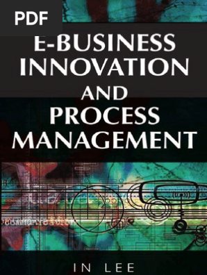 E Business Innovation And Process Management Transaction - 