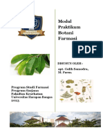 MODUL PRAKTIKUM BOTANI FARMASI 2023.pdf