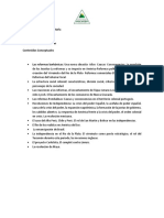 Temario 3ero A y C PDF