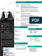 Best CV Template