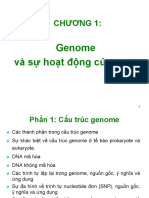 Lec 2 - Chuong 1 - Cau Truc Genome Va Tien Hoa PDF
