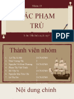 Pham Tru Ngu Phap Nhom 13