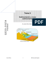 Tema 5 - Sedimentación y Rocas Sedimentarias PDF