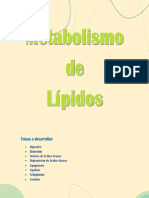Metabolismo Lipidos