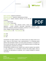 Hipérico: propriedades, usos e contraindicações