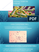 Corynebacterium Diphteriae 2