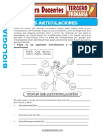 Las Articulaciones para Tercero de Primaria PDF