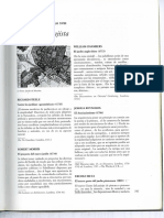 T3.2 - PATTETA - El Jardín Paisajista PDF