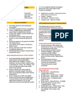 Roman 1 PDF