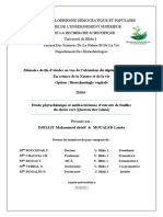 Quercus Ilex Étude Phytochimique Et Antibactérienne (Algérie) - Copie