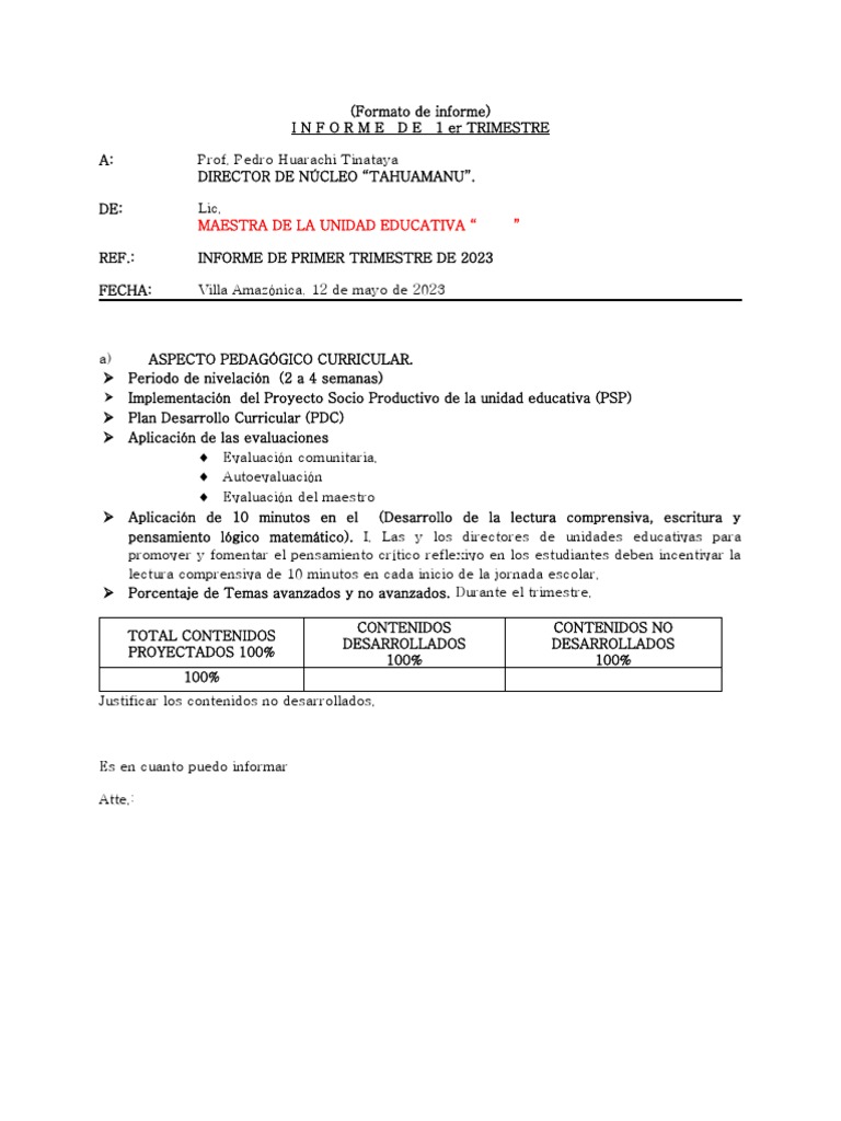 FORMATO DE INFORME DE 1er TRIMESTRE | PDF