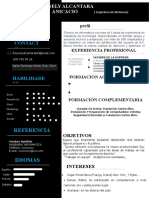 Ingeniera Sistemas 5 Años Experiencia Apoyo Técnico