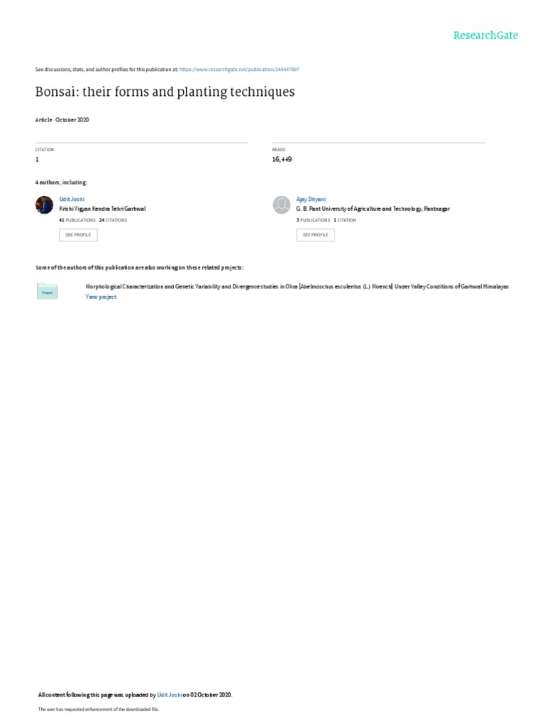 IL GRANDE MANUALE DEL BONSAI PDF intelligence overview