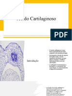 5-Tecido Cartilaginoso