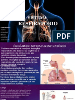 11-Sistemas Respiratório