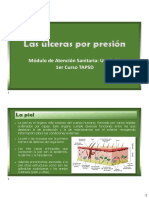 Tema 3 PP02 La Piel y Las UPPs (FUSION 2018)