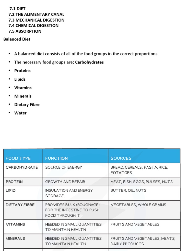 Understanding Human Digestion and Nutrition | PDF | Digestion | Small ...