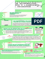 Infografía de Proceso Recortes de Papel Notas Verde