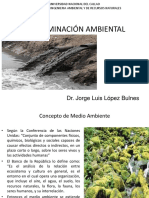 1 PPT Contaminación Ambiental PDF