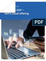 White Paper RISE With SAP PDF