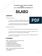 Silabo Derecho Procesal Penal