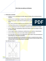 Estrutura Da Medula Espinhal - Resumo PDF