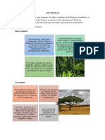 Los Biomas PDF