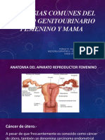 Neoplasias Del Aparato Genitourinario Femenino y Mama
