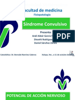 Sindrome Convulsivo