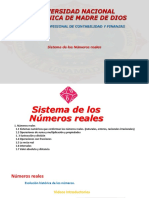 Sistema de Los Numeros Reales