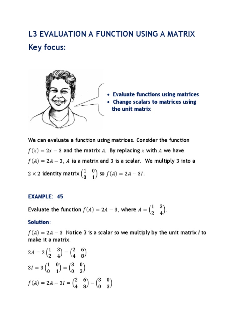 L3 Evaluation A Function Using A Matrix-1 | PDF | Matrix (Mathematics ...