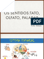 Aula Sentidos Tato, Olfato, Paladar