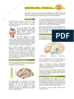 Sindrome Prefrontal - Etiología, Manifestaciones y Diagnostico