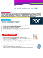 Como Prevenir Riesgo de Cortes PDF