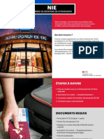 Guide Formulaire EX-15 pour NIE Espagne | PDF | Onomastique