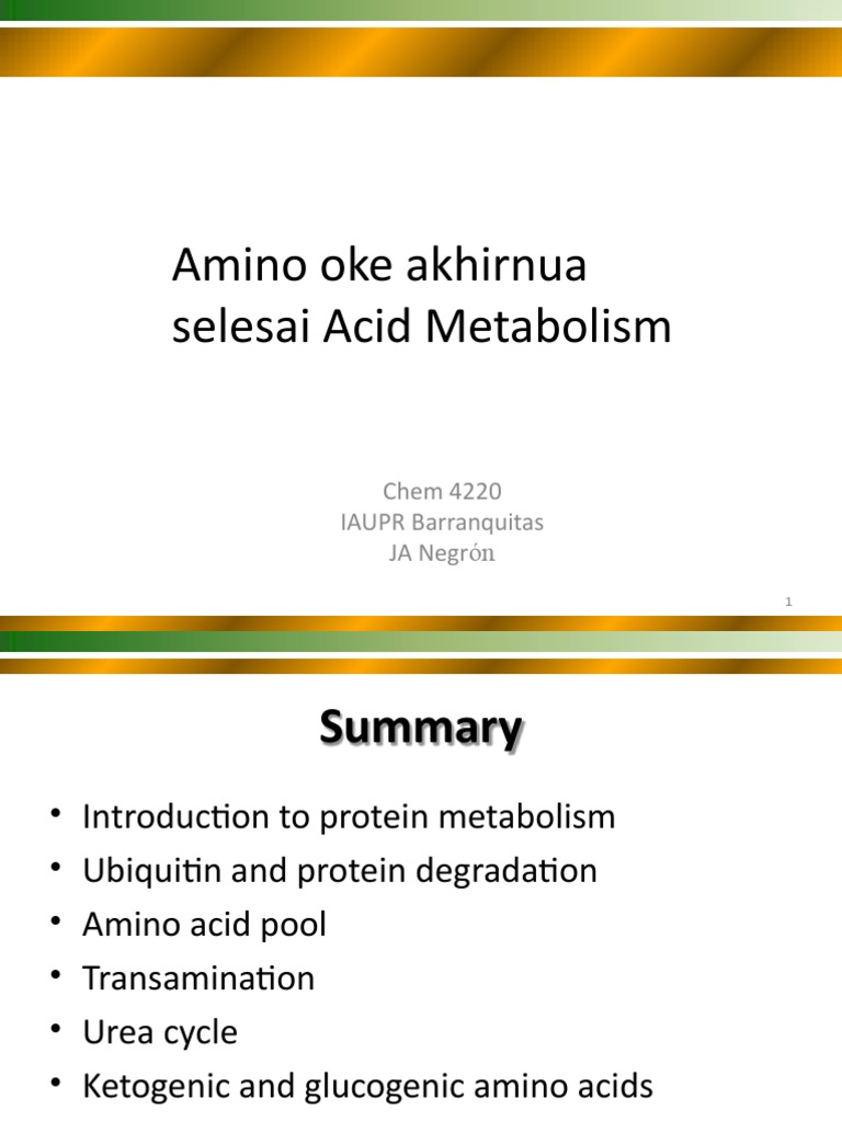 Overview of Amino Acid Metabolism | PDF | Amino Acid | Ubiquitin