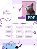 Adopta Un Gato