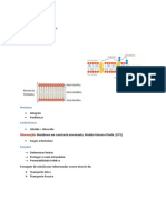 Membrana Plasmática.docx