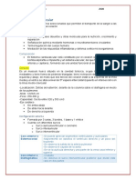 Sistema Cardiovascular