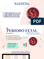 Periodo Fetal - )