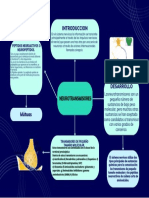 Mapa Conceptual s3 PDF