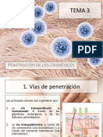 TEMA 3. Vías de Penetración de Los Cosméticos