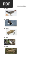 Download Jenis Hewan Ovipar by Muhammad Afrizal SN64532998 doc pdf